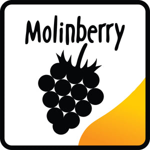 Honeydew Melon Concentrate (MB)